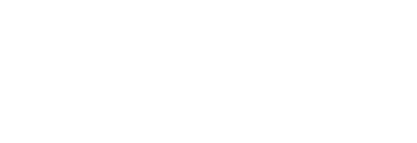 Dosarul Detectivului